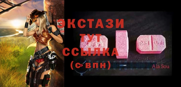 дмт Алексин