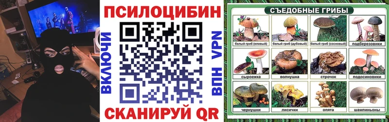 цены   Аргун  Галлюциногенные грибы Magic Shrooms 