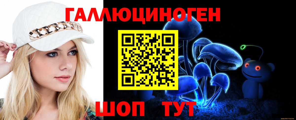 купить наркоту  Вход с VPN  Аргун  Галлюциногенные грибы Psilocybine cubensis 